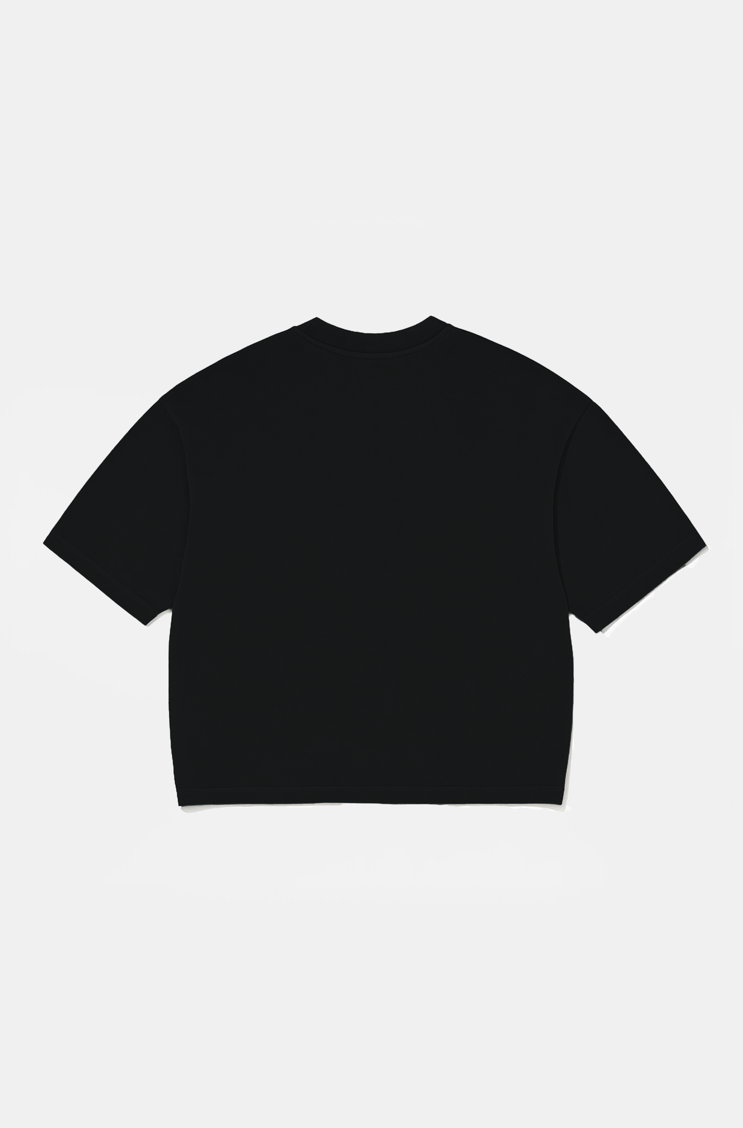 Camiseta Boxy Over Buda