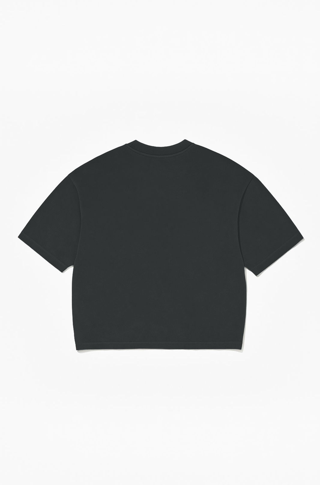 Camisetas Boxy Oversized Wild Horses Preta Cationizado
