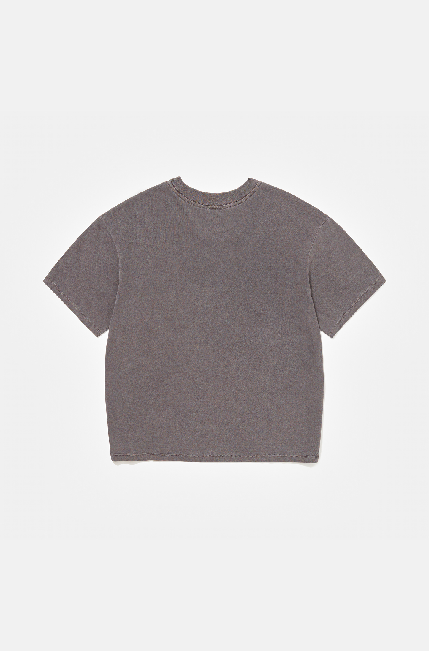 Camiseta Boxy Regular Beluga