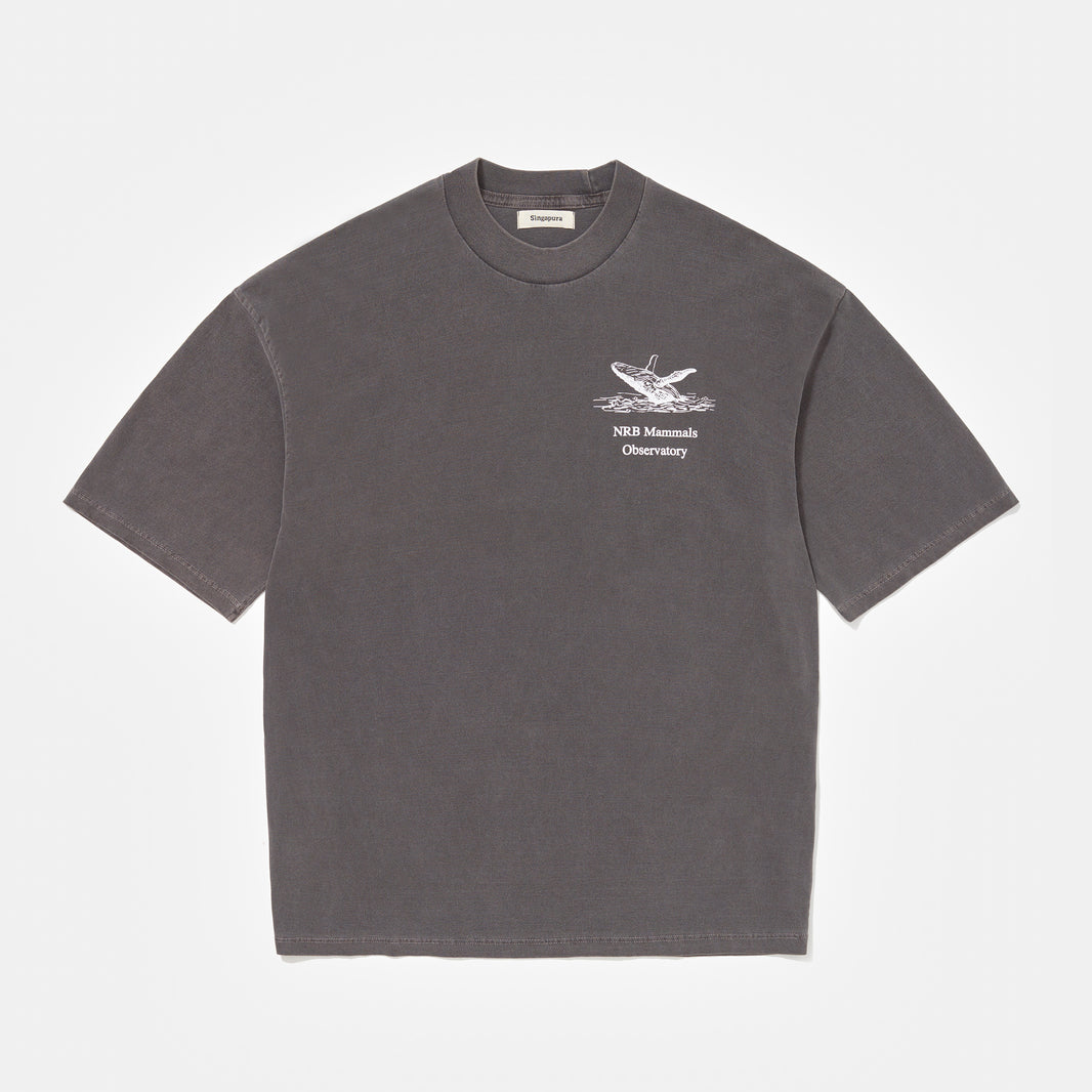 Camiseta NRB Beluga