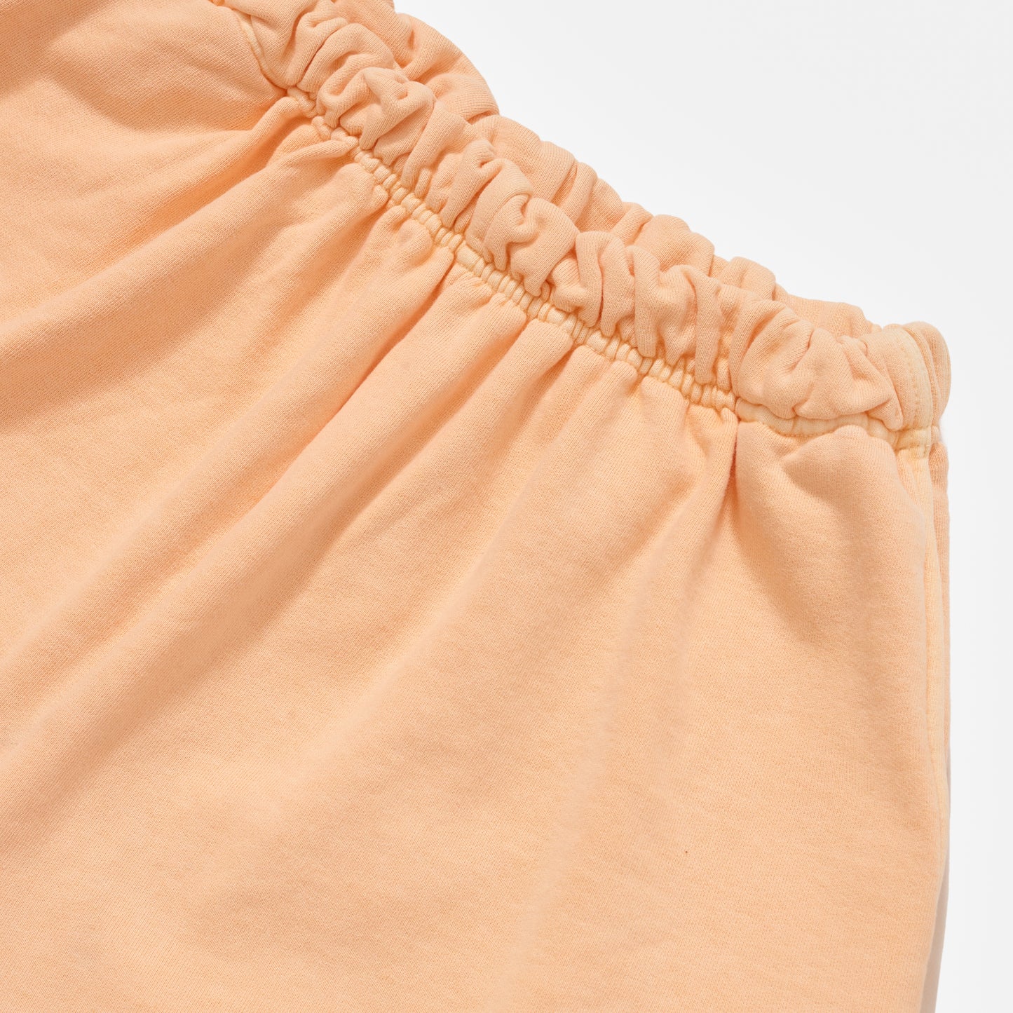 Gym Shorts Papaya