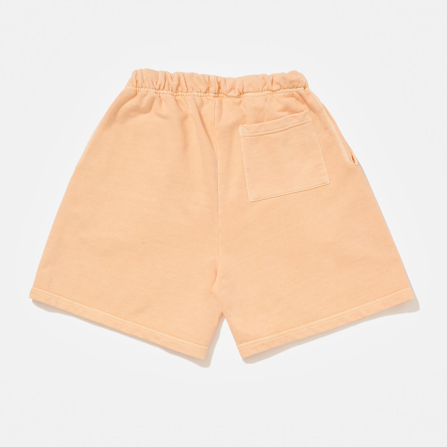 Gym Shorts Papaya